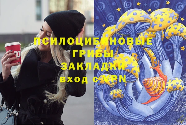 скорость Няндома