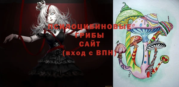 apvp Нягань