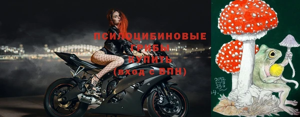apvp Нягань