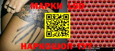 шишки Абинск