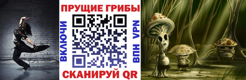 закладки  Анапа  Галлюциногенные грибы Magic Shrooms 