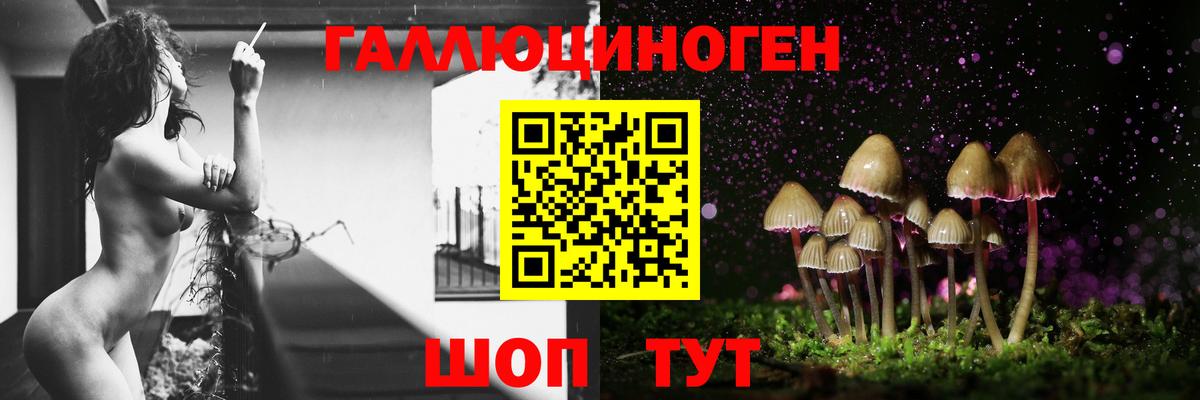 Анапа  Галлюциногенные грибы Psilocybe  Вход с VPN  Галлюциногенные грибы мицелий 